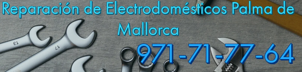 Reparaci&oacute;n Electrodom&eacute;sticos Palma de Mallorca